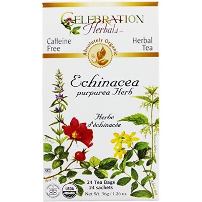 Celebration Echinacea 