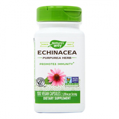 NW Echinacea 