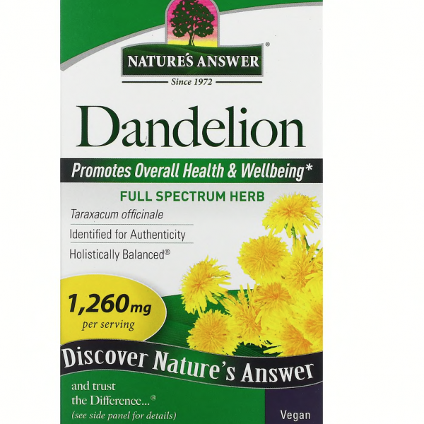 NA Dandelion 