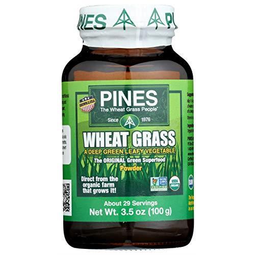 Wheat Grass 